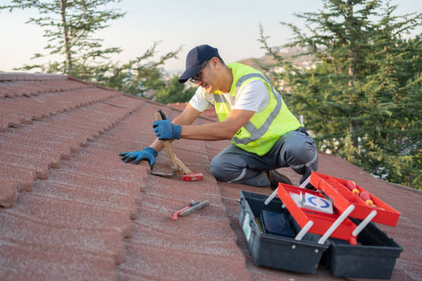 Best Roof Moss and Algae Removal  in Whitney Point, NY